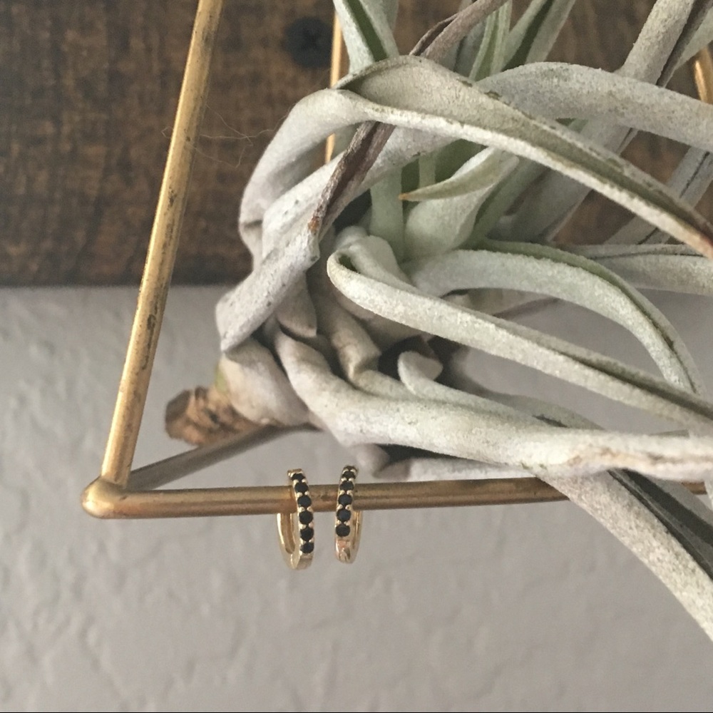 Tiny gold plated Earrings